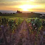 Plaisir Des Sens 4* Roanne